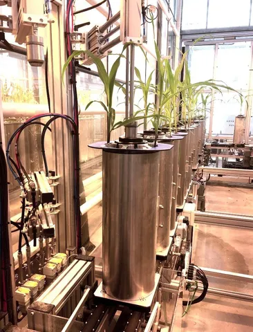 Bonjour tout le monde !