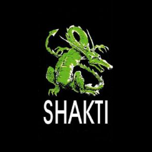 Shakti